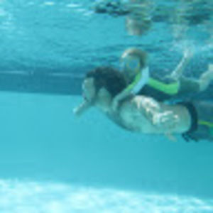 Meet your Posher, Dave